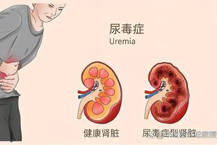 开云登录入口官网网址截图3